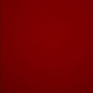 Meet your Posher, Eva